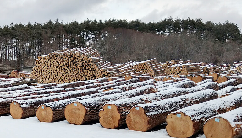 木材の有効活用と販売